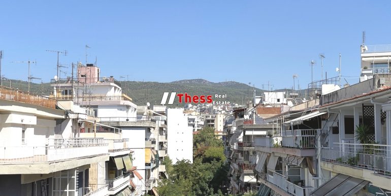 IMG_8690 (2)