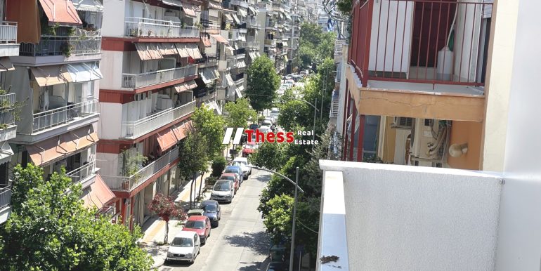 IMG_0307 (2)